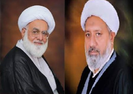 علامہ محمد حسین اکبر، علامہ افضل حیدری پنجاب قرآن بورڈ کے رکن منتخب