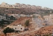 آبادکاروں کے مظالم، زرعی مکانات کی مسماری، فصلوں کی تباہی اور درجنوں مویشیوں کی لوٹ مار